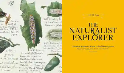 Book cover of 'The Naturalist & Explorer' with illustrations of a caterpillar and leaves on a yellow background.