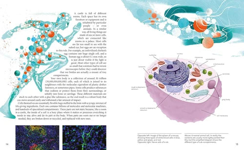 Educational illustration of a cell with various organelles and a running figure, likely from a biology textbook.