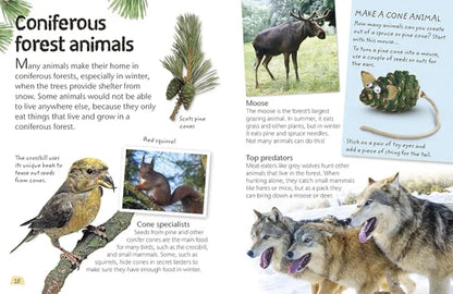 Educational illustration of coniferous forest animals with text and images of moose, birds, and wolves.