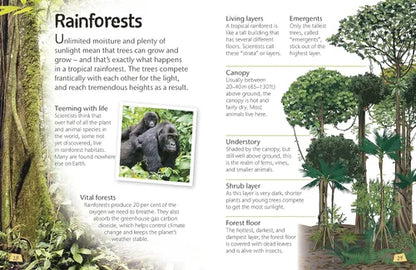 Educational poster about rainforests with text and illustrations.
