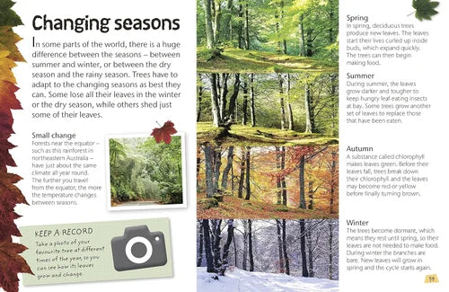 Educational page about changing seasons with images of trees in different seasons.