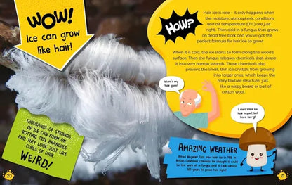 The Wow and How of Weather