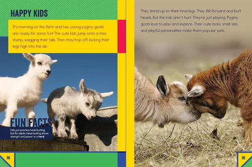 Children's book page about Pygmy goats with images and text.