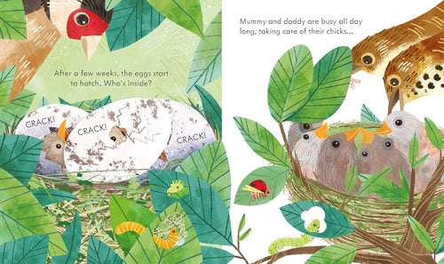 Illustrated book page with birds and chicks in a nest, surrounded by green leaves.